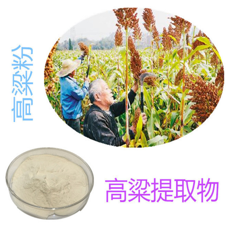 斯诺特生物 深耕植物提取物研发，以高粱提取物为核心打造健康产品矩阵