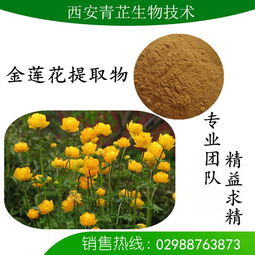 金莲花提取物的市场价格与研发趋势分析